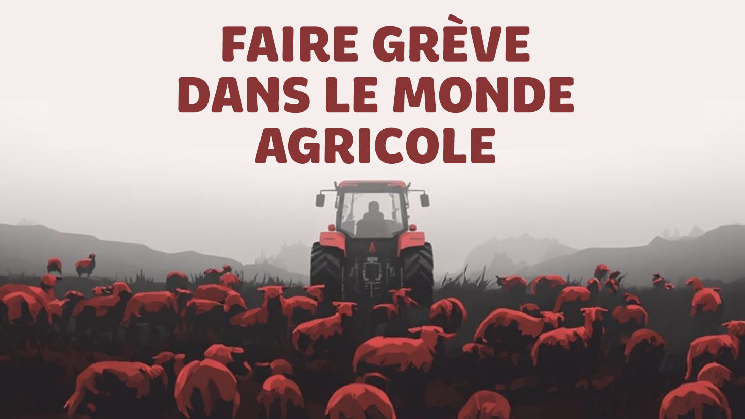 Caisse de grève intersyndicale pour les salarié·es agricole·s